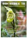 Illustration de Orchidée 78 - Orchidées